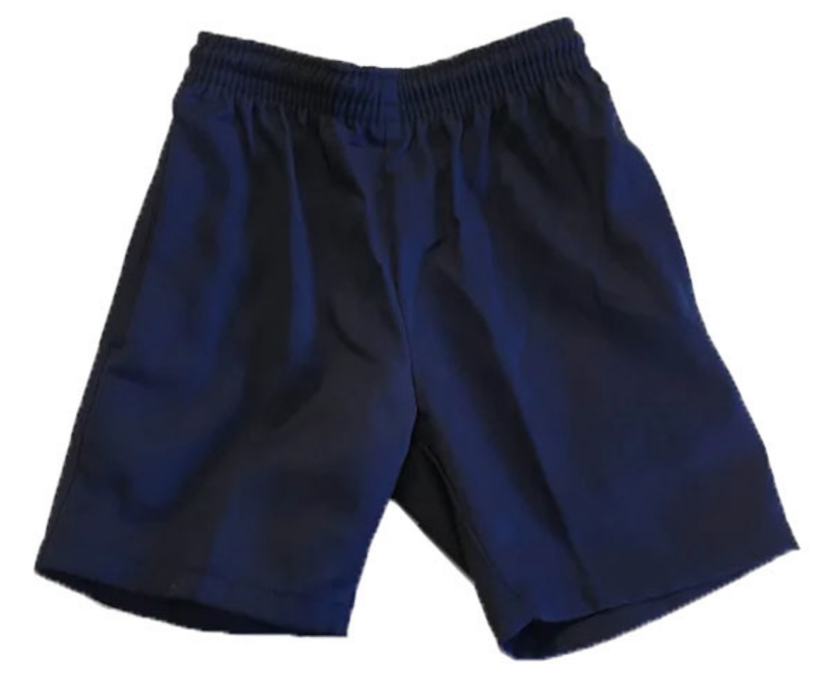 Picture of Vaucluse Navy Shorts