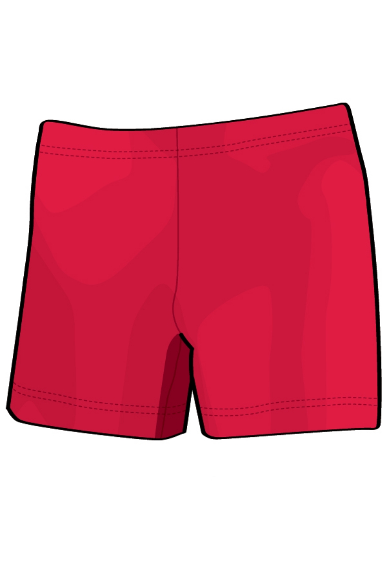 Picture of Scoop Alley Lycra Shorts